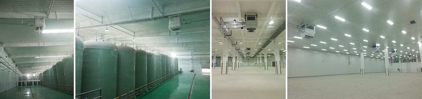 Food factory in Hebei